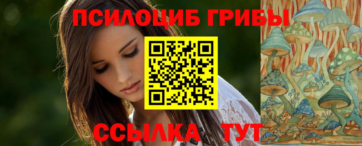 Галлюциногенные грибы GOLDEN TEACHER  цена   Галлюциногенные грибы Psilocybe  Фурманов  Вход с VPN 